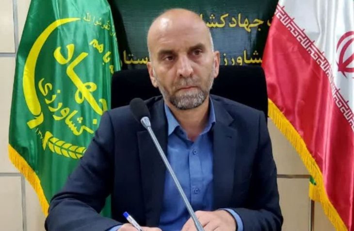 پیش بینی تولید ۳۲۰ هزار تن گندم درلرستان