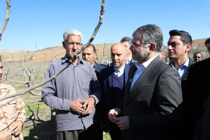 بازدید وزیر جهاد کشاورزی از انجیرستان «زیودار» پلدختر +تصاویر
