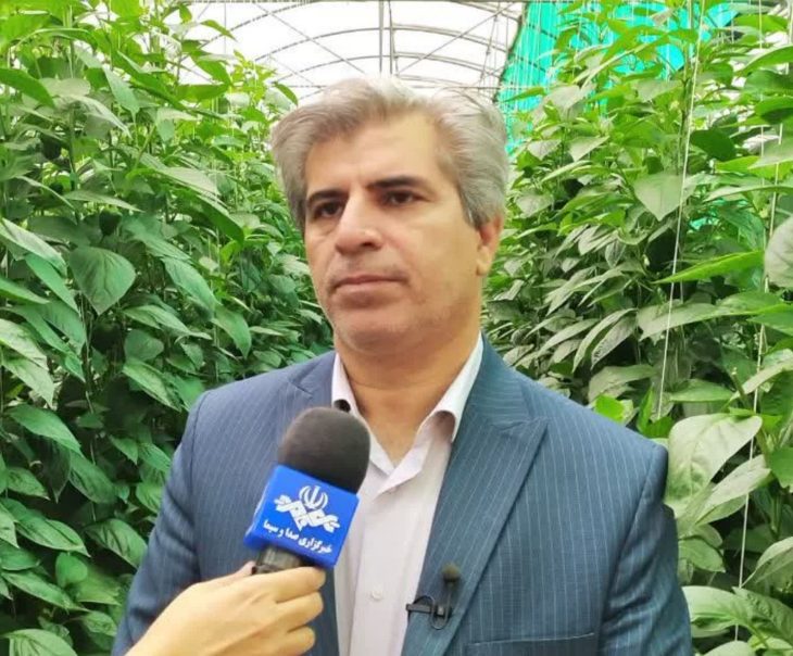 جهش تولید در بخش کشاورزی با توسعه کشت های «گلخانه ای»