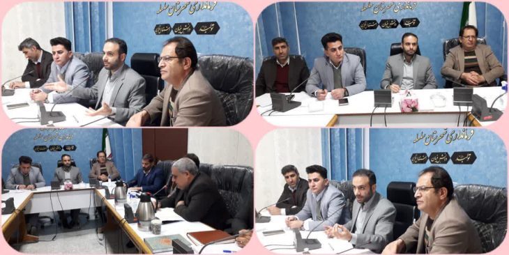 افزایش نظارت ها بر فروش اقلام تنظیم بازاری گوشت قرمز و برنج