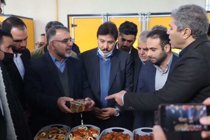 واحد تولید و بسته بندی میوه خشک شهرستان سلسله افتتاح شد+تصاویر