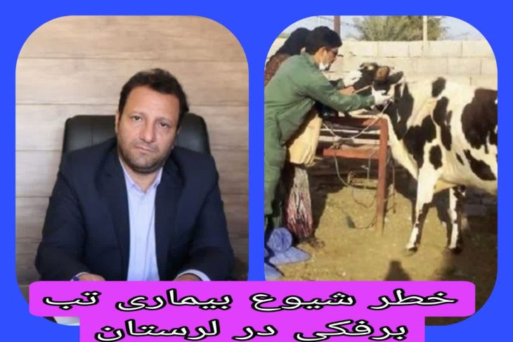 هشدار دامپزشکی لرستان در خصوص خطر شیوع بیماری «تب برفکی»