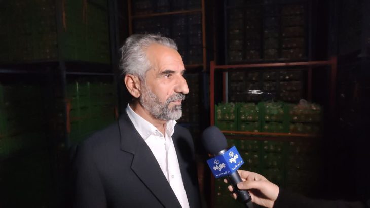 توزیع میوه شب عید با نرخ ۱۰ درصد زیر قیمت بازار در لرستان