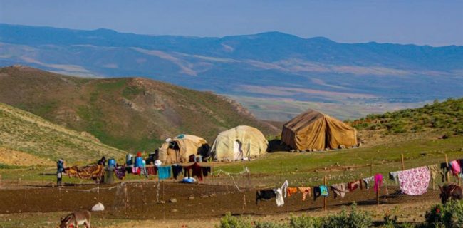 ۲۵۰ پَک سوخت بین خانوارهای عشایری و روستایی لرستان توزیع می‌شود