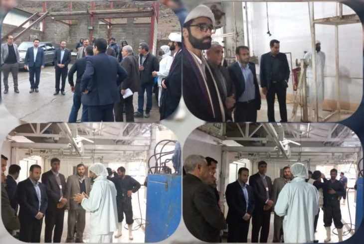 کشتارگاه دام سلسله به چرخه فعالیت بازگشت