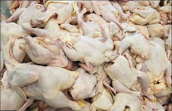 کشف ۲ تن مرغ غیر بهداشتی و تاریخ گذشته در دلفان