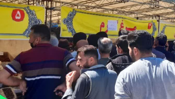 توزیع ۶۵ تن مرغ منجمد تنظیم بازاری در لرستان