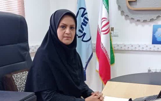 صدور ۲۷ پروانه استاندارد برای فرآورده های تولیدی بروجرد