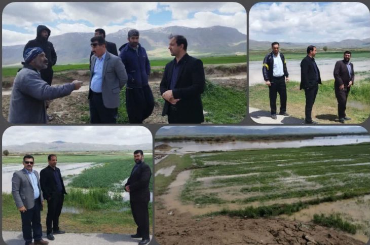 آبگرفتگی یک هزار و ۵۰۰ هکتار از اراضی کشاورزی دورود