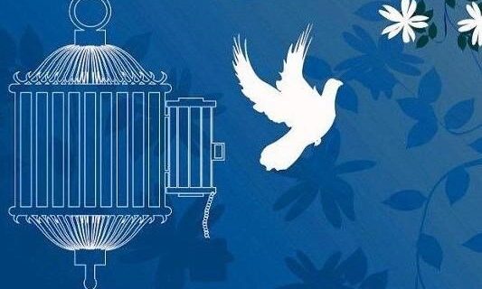 آزادی زندانی جرائم غیر عمد با کمک همسر شهید سید«نورخدا موسوی»