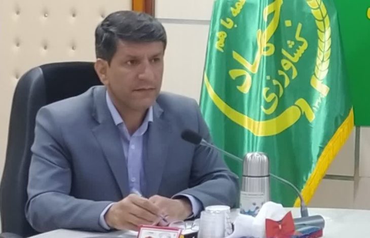 حفظ کاربری ۱۷۶ هزار هکتار از اراضی کشاورزی و گلخانه‌ای لرستان
