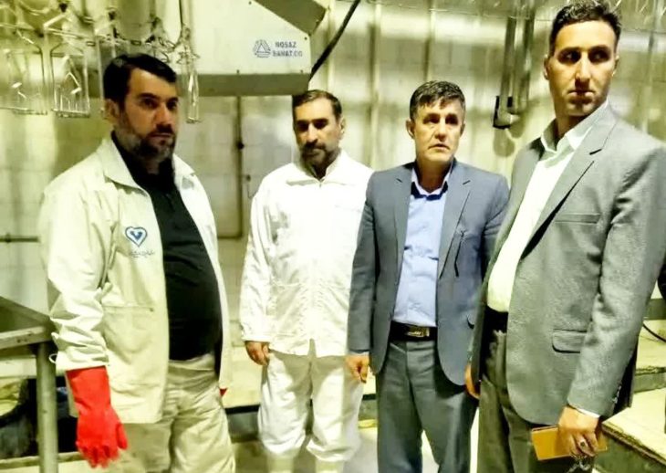 کشتارگاه «پاک مرغ» سلسله به چرخه تولید بازگشت
