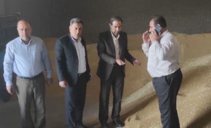 آغاز خرید تضمینی گندم و کلزا در لرستان