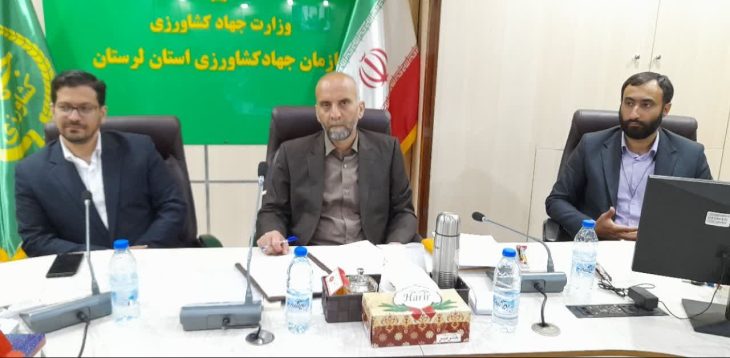 بحران مرغ در لرستان را پشت سر گذاشتیم/۹۰ درصد تولید مرغداری ها باید به کشتارگاه‌های استان ارسال شود