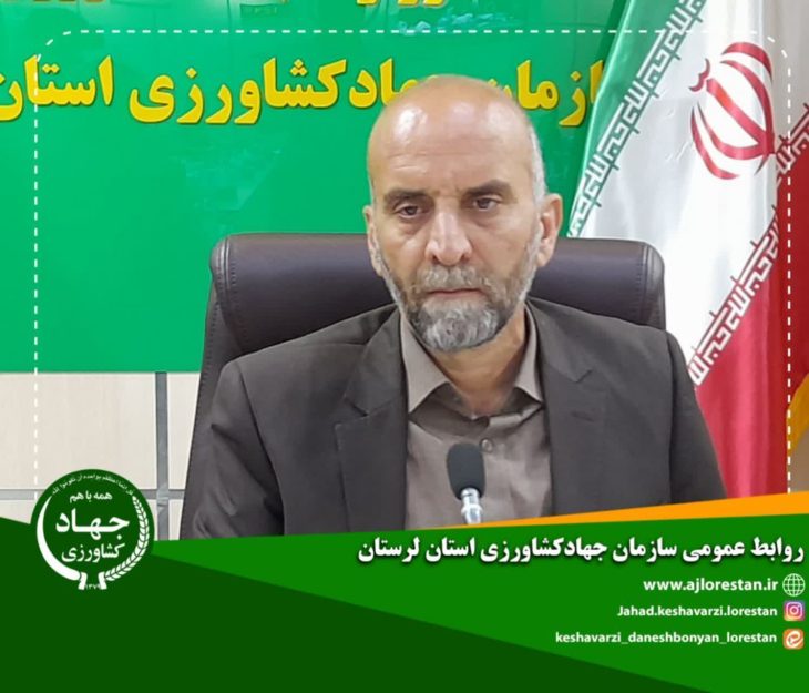سالانه ۳۸۰۰ تن عسل در لرستان تولید می شود/ضرورت توسعه صنعت عسل