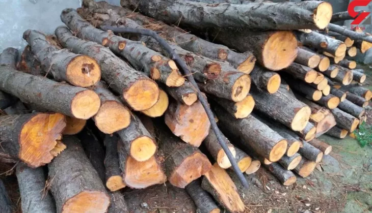 کشف بیش از ۱۶ تن چوب قاچاق در الیگودرز
