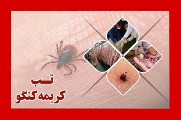 هشدار دامپزشکی لرستان نسبت به شیوع بیماری تب «کریمه کنگو»