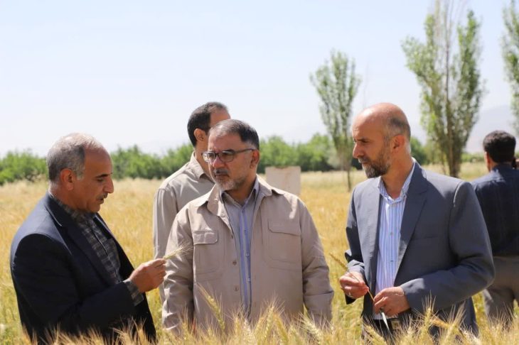 بازدید استاندار لرستان از مرکز تحقیقات کشاورزی سراب چنگایی