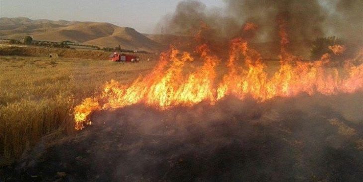 خسارت ۲۴ میلیارد ریالی آتش‌سوزی به مزارع خرم آباد+تصاویر