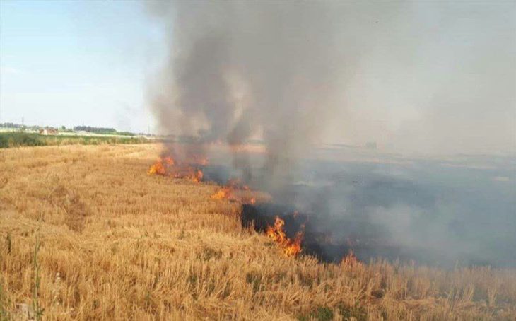 مهار آتش سوزی مزارع کشاورزی روستای «بهرامی» خرم آباد