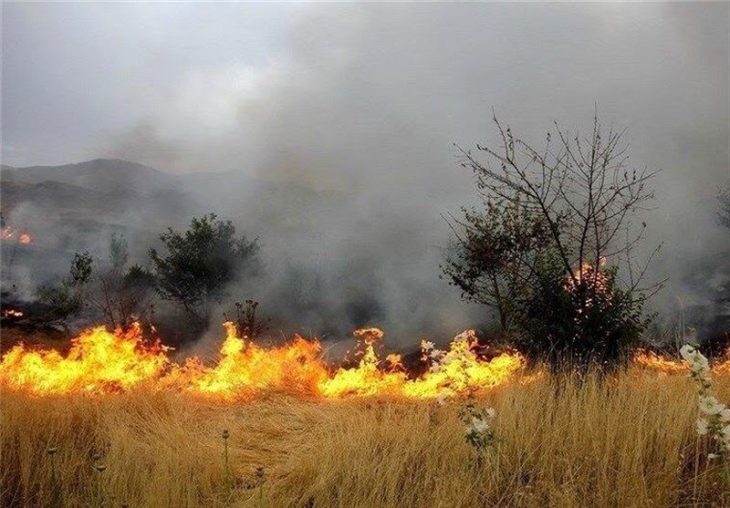 ۱۰۰ هکتار جنگل و مرتع شهرستان چگنی در آتش سوخت