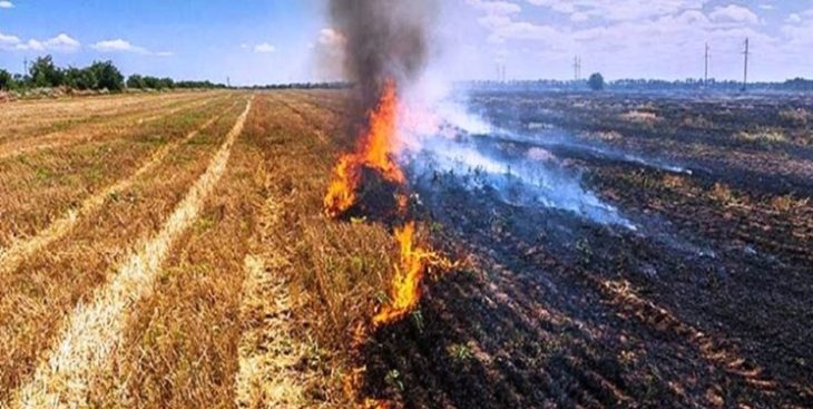 دستگیری عاملان آتش سوزی مزارع کشاورزی در خرم آباد