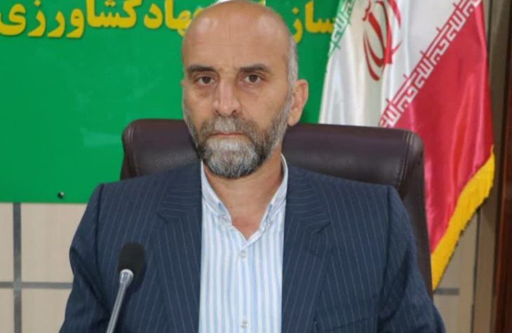 افزایش ۱۶۰ درصدی خرید گندم مازاد بر نیاز کشاورزان لرستانی