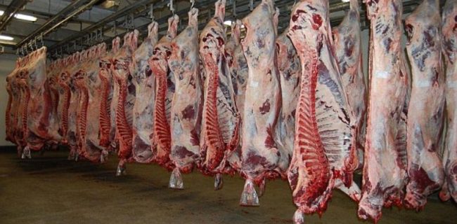 فعالیت کشتارگاه‌های دام لرستان در روزهای تاسوعا و عاشورا