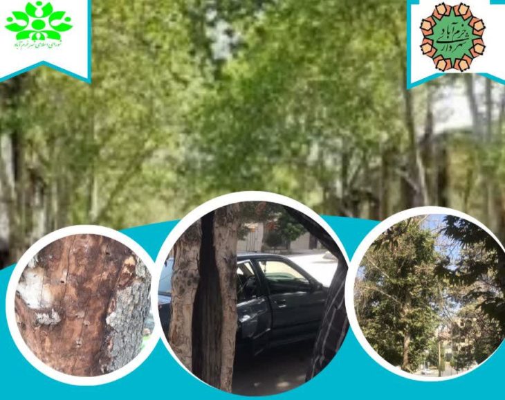 تشکیل کارگروه علمی- تخصصی مبارزه با آفات درختان شهر خرم آباد