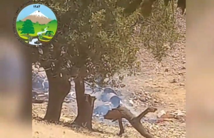 حمله قاچاقچیان چوب و زغال به مأمورین منابع طبیعی خرم آباد/ضاربان دستگیر شدند