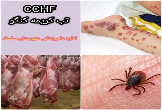موردی از بیماری «کریمه کنگو» در لرستان گزارش نشده است
