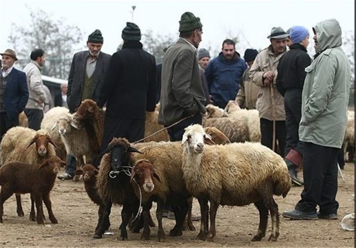 جمع‌آوری مراکز عرضه دام زنده در ورودی‌های خرم‌آباد