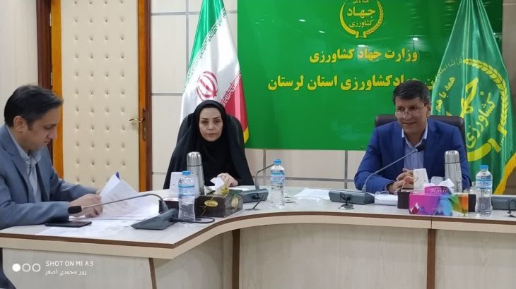 ۱۴ هزار هکتار از اراضی غیر ملی لرستان تثبیت شد