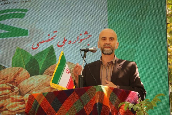 گردوی سلسله مرغوب ترین محصول تولیدی لرستان