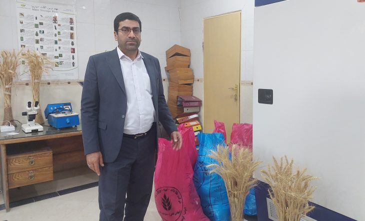 لرستان در آستانه خود کفایی کامل بذری/ افزایش ۵۲ درصدی تولید هسته های بذری استاندارد در استان