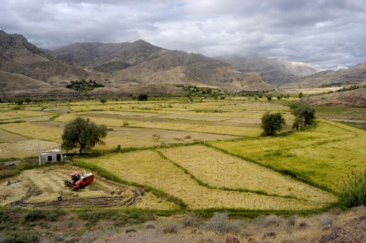 صدور ۱۵۰ مجوز تغییر کاربری اراضی کشاورزی در لرستان