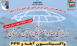واکسیناسیون ۸۰۰ هزار رأس دام علیه بیماری آبله و طاعون در لرستان