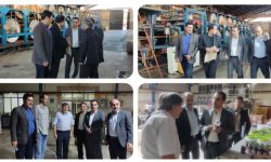 بازدید مدیر کل صمت لرستان از واحدهای صنعتی بروجرد