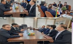 چتر حمایت بانک رفاه بر سر صنایع پویا لرستان