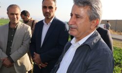مطالبات کشاورزان ظرف هفته های آینده پرداخت می شود