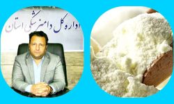صادرات ۵۰ تن پودر آب پنیر به پاکستان