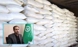 جلوگیری از انحراف توزیع آرد با سامانه «ساپال»
