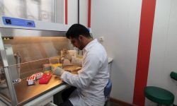 راه اندازی بخش تشخیص مولکولی هپاتیت C در لرستان