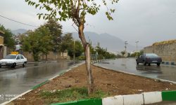انتقاد بازرس کل لرستان از وضعیت فضای سبز شهر خرم آباد
