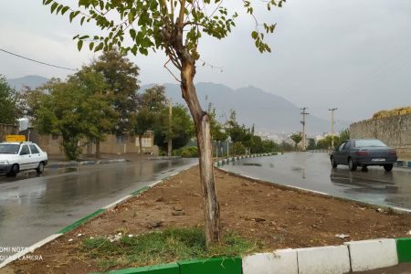 انتقاد بازرس کل لرستان از وضعیت فضای سبز شهر خرم آباد