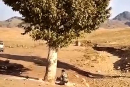 توضیحات منابع طبیعی در خصوص قطع درختان چنار ۲۰۰ ساله در خرم‌آباد