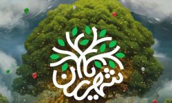 لرستان رتبه سوم کشور را در طرح “شهریاران” کسب کرد