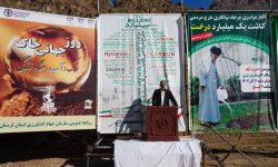 سهم ۳۰ میلیونی لرستان در طرح کاشت نهال