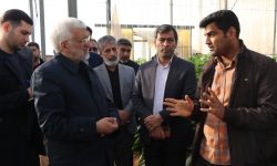 لرستان سهم موثری در صادرات محصولات کشاورزی دارد