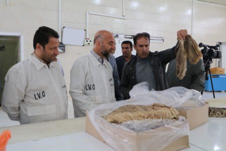 فیلم| بازدید رئیس جهاد کشاورزی لرستان از صنایع تبدیلی و تکمیلی استان
